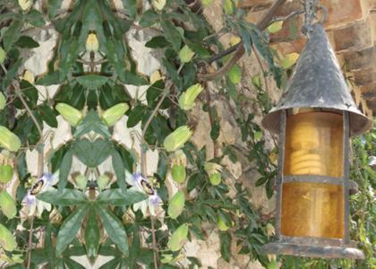 La Garde-Adhémar Mas Bella Cortis Bed & Breakfast エクステリア 写真